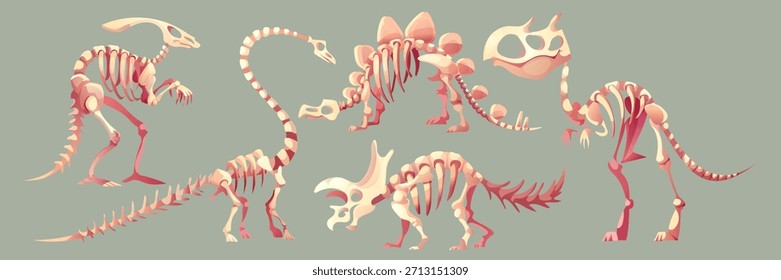 Esqueleto fósil de dinosaurio con huesos para exhibiciones museísticas o educativas. Criaturas prehistóricas de stegosaurus y brachiosaurus, triceratops y tyrannosaurus rex. Ilustraciones de paleontología.