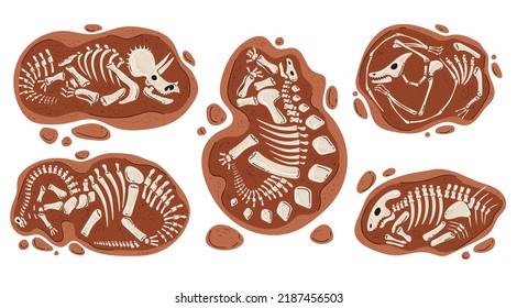 Dinosaur fossil skeleton under ground ancient bone paleontology isolated set. Vector doodle line style design element