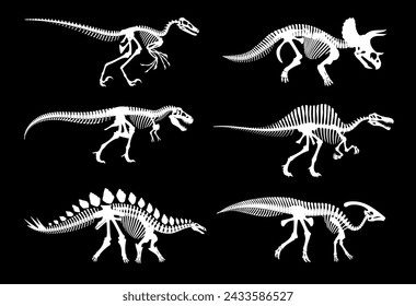 Esqueletos fósiles de dinosaurios e improntas de huesos de dinosaurio jurásico, siluetas blancas vectoriales. Arqueología de dinosaurios esqueletos fósiles de reptiles extintos, tiranosaurios T-rex o huesos velociraptores y estegosaurios