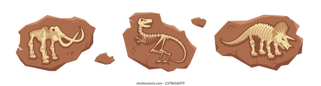 Dinosaur fossil vector illustration set. Cartoon isolated jurassic dino character silhouette inside underground stone, skeleton bones and skull of prehistoric dead animal, old mesozoic extinct monster