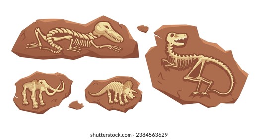 Dinosaur fossil vector illustration set. Cartoon isolated jurassic dino character silhouette inside underground stone, skeleton bones and skull of prehistoric dead animal, old mesozoic extinct monster