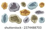 Dinosaur fossils of ancient fish skeleton and stone plant imprint, cartoon vector. Archeology fossil stones with prints of Jurassic dinosaur bones, fish and reptile with shells and extinct plants