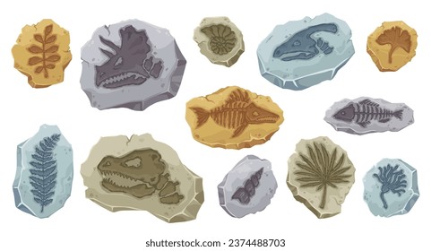 Dinosaur fossils of ancient fish skeleton and stone plant imprint, cartoon vector. Archeology fossil stones with prints of Jurassic dinosaur bones, fish and reptile with shells and extinct plants