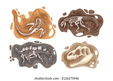 Dinosaur fossils vector illustrations set. Bones or skeletons of prehistoric reptiles found underground during excavations isolated on white background. Archeology, paleontology concept