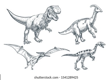 Dinosaur hand drawn sketch illustration. Dino collection, isolated on white background. Vector print design elements.