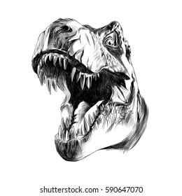 dinosaur head sketch vector
