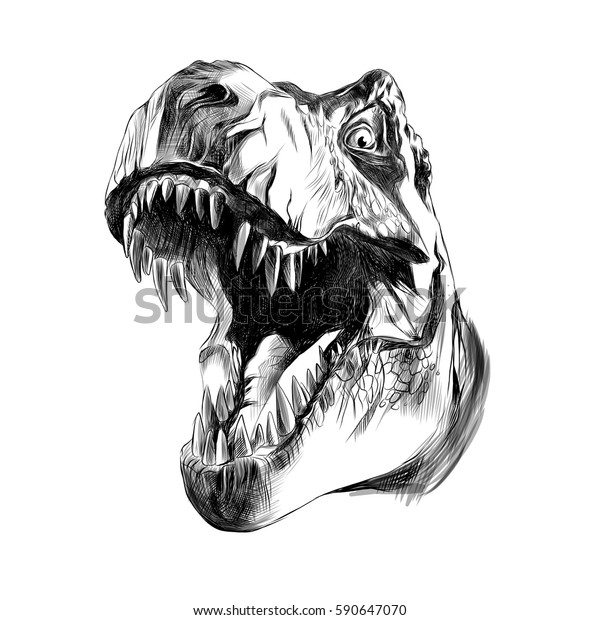 Dinosaur Head Sketch Vector Stock Vector Royalty Free 590647070 