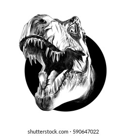 dinosaur head sketch vector in the circle