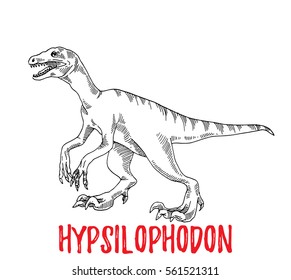 Dinosaur hypsilophodon. Isolated vector illustration.