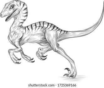 dinosaur hypsilophodon tattoo sketch coloring black and white reptile vector illustration