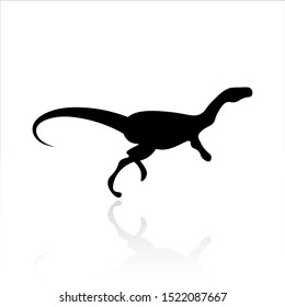 Dinosaur icon vector design. Reptiles icons