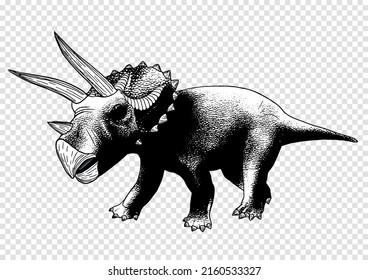 Dinosaur illustration. Triceratops vector sketch isolated on transparent background. Hand drawn dino