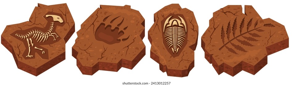 Dinosaur and insect skeleton, creature paw and plant trail isolated set on white background. Prehistoric period of Jurassic age archaeological excavations