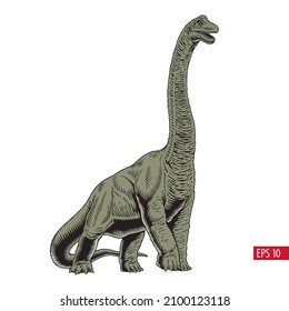 Dinosaur isolated. Brachiosaurus or brontosaurus, comic style hand drawn vector illustration.