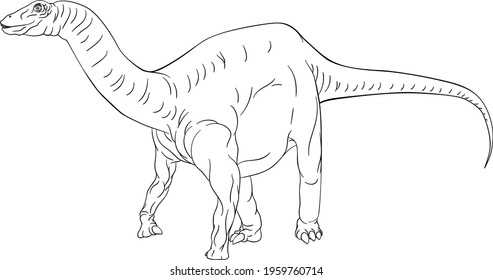 A dinosaur like a diplodocus, brontosaurus, supersaurus or brachiosaurus black and white outline cartoon like a kids coloring book page