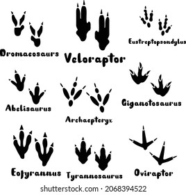 Dinosaur Name , Dinosaur Track, Dinosaur Footage