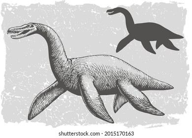 Dinosaur plesiosaurus grafic hand drawn 
