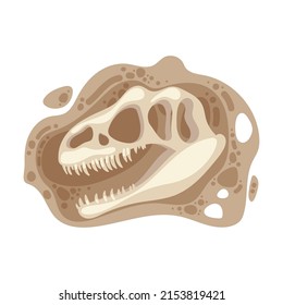 Dinosaur predatory tirex head fossil vector. Archeology, paleontology. Bones or skeleton of prehistoric reptiles found underground during excavations isolated on white background