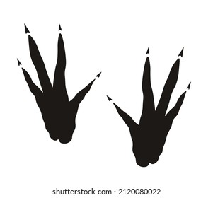 Dinosaur pteranodon footprint isolated on white background