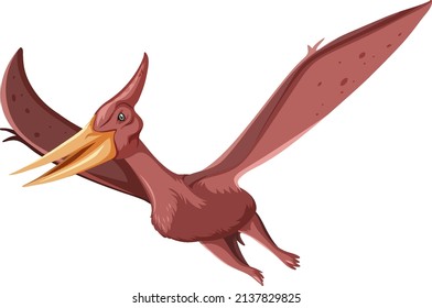 A dinosaur pteranodon on white background illustration