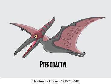 Dinosaur Pterodactyl  Vector  illustration