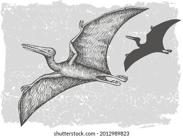 dinosaur pterodactylus grafic hand drawn 