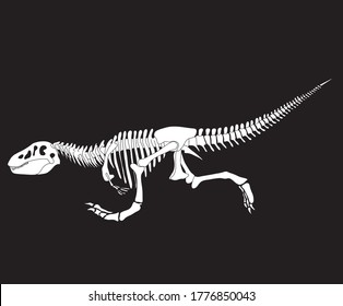 Dinosaur Rex skeleton running dinosaur silhouette in isolate on black background. Vector illustration