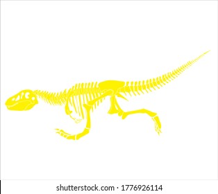 Dinosaur Rex skeleton running dinosaur silhouette in isolate on white background. Vector illustration