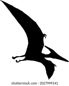 Dinosaur. The silhouette of a dinosaur flying with large wings. Collection of Jurassic animals. Black and white illustration of dinosaurs for children.