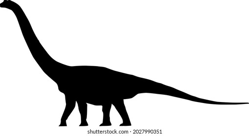 Dinosaur. The silhouette of a large dinosaur with a long neck. Collection of Jurassic animals. Black and white illustration of dinosaurs for children.