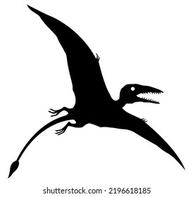 Dinosaur silhouette vector graphic Rhamphorhynchus black cut file isolated on white background