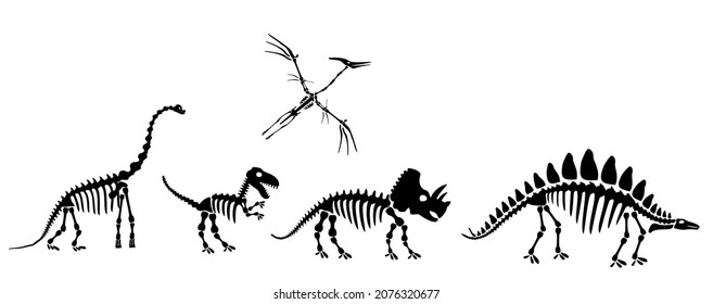 Dinosaur silhouettes set. Silhouette of dinosaur skeletons, dinosaur bones. Diplodocus, Tyrannosaurus rex, Triceratops, Centrosaurus, Pterodactyl. Modern vector design image isolated on white. 