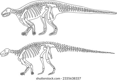 dinosaur skelenton bone illustration with hand draw cartoon style black and white