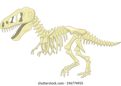 Dinosaur skeleton