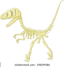 Dinosaur skeleton