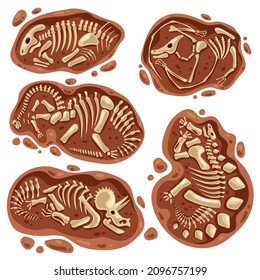 Dinosaur skeleton bones fossil excavations archeology isolated set  Vector flat graphic design cartoon illustration