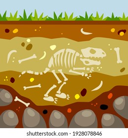 Dinosaur skeleton. Bones of a prehistoric lizard. Land in the section. Soil with layers. Historical find and archaeological excavations. Flat cartoon landscape