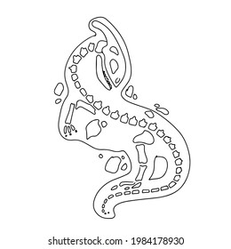 Dinosaur skeleton in cartoon style. The bones of a prehistoric animal. Archeology. Black and white Vector illustration isolated on white background.