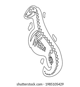 Dinosaur skeleton in cartoon style. The bones of a prehistoric animal. Archeology. Black and white Vector illustration isolated on white background.