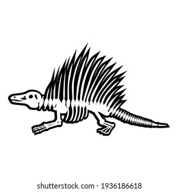 Dinosaur skeleton dimetrodon, vector illustration