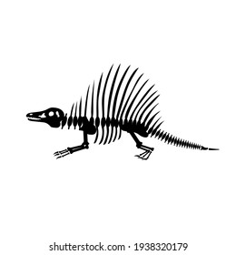 Dinosaur skeleton dimetrodon, vector illustration