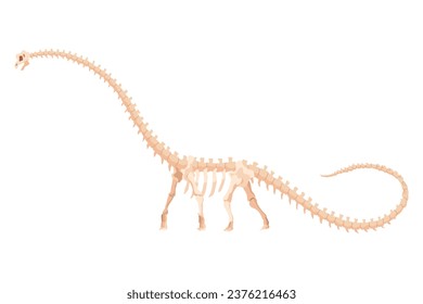 Dinosaur skeleton. Dino monsters icon. Shape of real animal. Sketch of prehistoric reptiles. Vector illustration isolated on white. Hand drawn sketch
