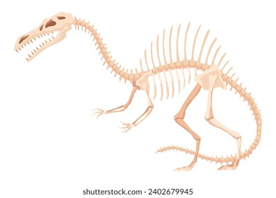 Dinosaur skeleton. Dino monsters icon. Shape of real animal. Sketch of prehistoric reptiles. Vector illustration isolated on white. Hand drawn sketch