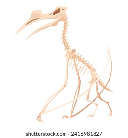 Dinosaur skeleton. Dino monsters icon. Shape of real animal. Sketch of prehistoric reptiles. Vector illustration isolated on white. Hand drawn sketch