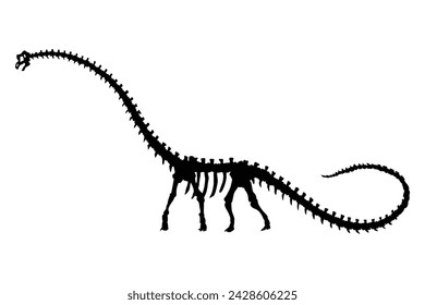 Dinosaur skeleton. Dino monsters icon. Shape of real animal. Sketch of prehistoric reptiles. Vector illustration isolated on white. Hand drawn sketch