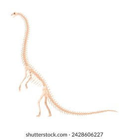 Dinosaur skeleton. Dino monsters icon. Shape of real animal. Sketch of prehistoric reptiles. Vector illustration isolated on white. Hand drawn sketch
