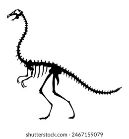 Dinosaur skeleton. Dino monsters icon. Shape of real animal. Sketch of prehistoric reptiles. Vector illustration isolated on white. Hand drawn sketch