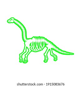 dinosaur skeleton diplodocus, vector illustration