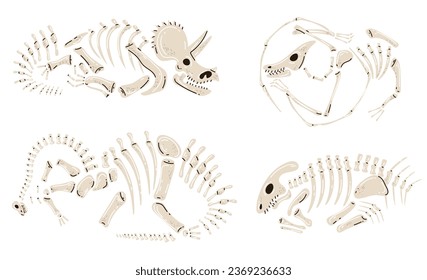 Dinosaur skeleton fossil bone dino museum archaeolog jurassic isolated set. Vector flat graphic design illustration
