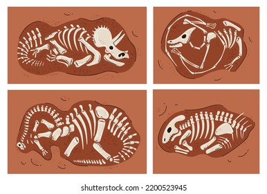 Dinosaur skeleton fossil bone paleontology museum concept. Graphic design element vector illustration
